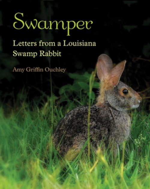 Cover of the book Swamper by Amy Griffin Ouchley, LSU Press
