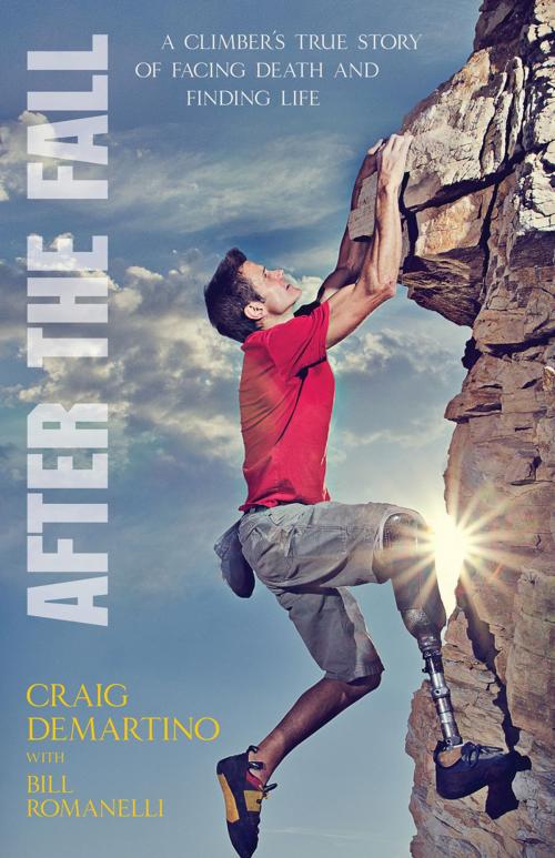 Cover of the book After the Fall by Craig DeMartino, Kregel Publications