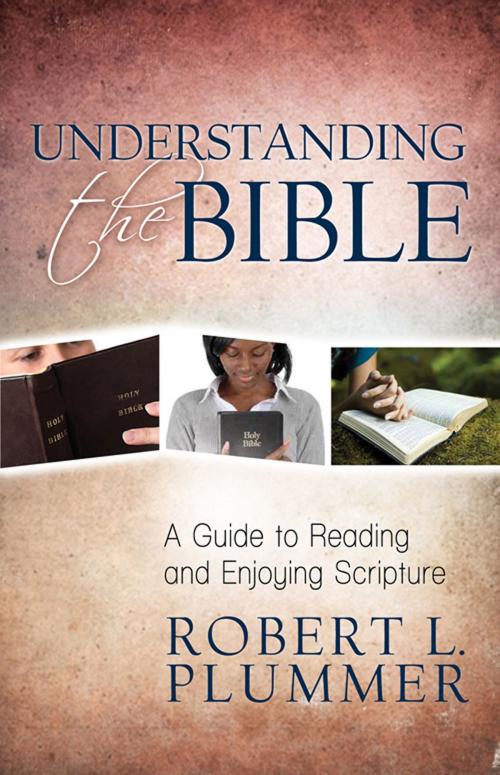 Cover of the book Understanding the Bible by Robert L. Plummer, Kregel Publications