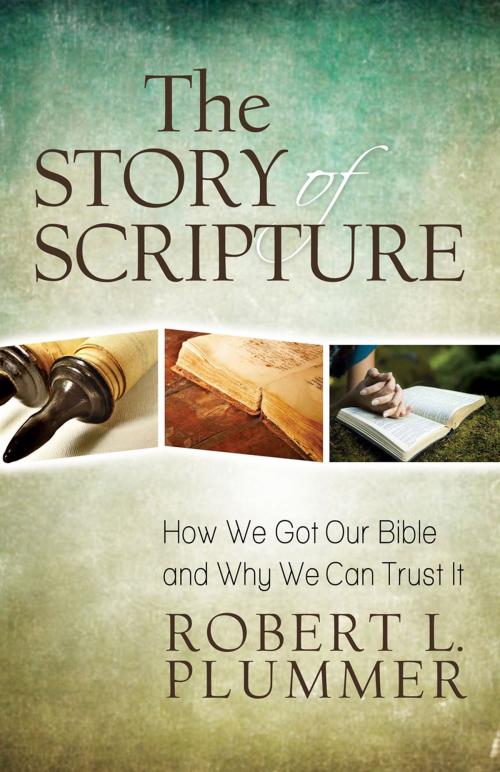 Cover of the book The Story of Scripture by Robert L. Plummer, Kregel Publications