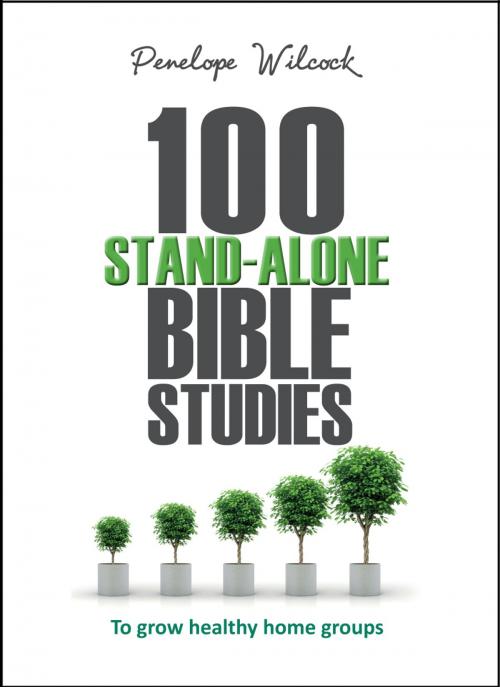 Cover of the book 100 Stand-Alone Bible Studies by Penelope Wilcock, Lion Hudson LTD