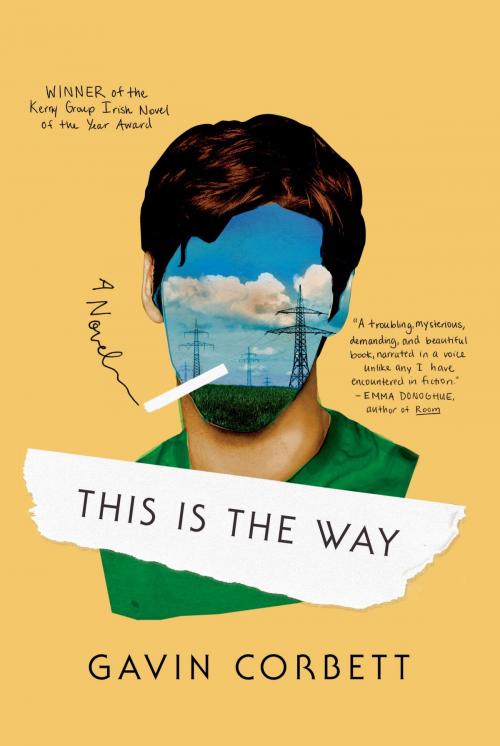 Cover of the book This Is the Way by Gavin Corbett, Farrar, Straus and Giroux