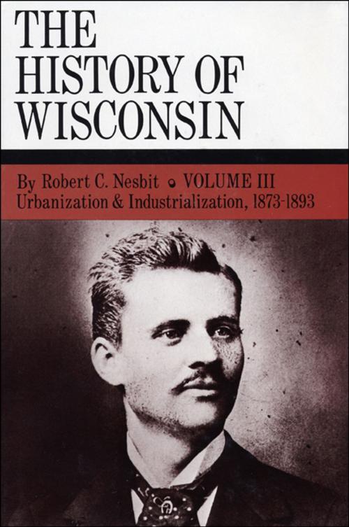 Cover of the book Urbanization & Industrialization 1873-1893 by Robert C. Nesbit, Wisconsin Historical Society Press