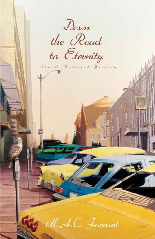 Cover of the book Down the Road to Eternity by M.A.C. Farrant, Talonbooks