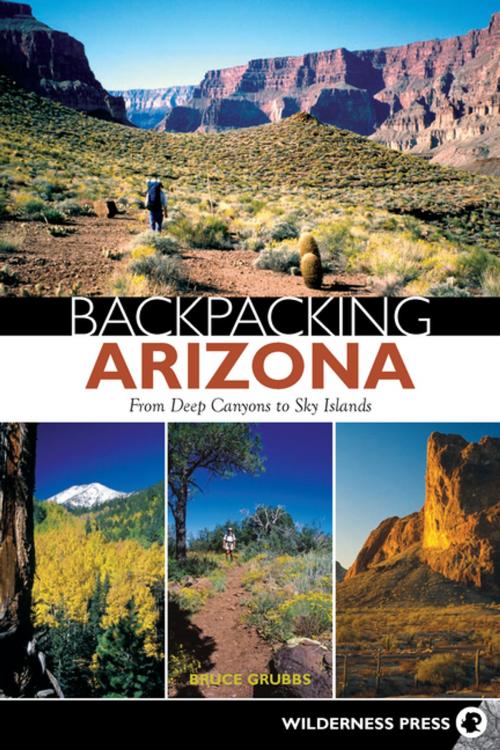 Cover of the book Backpacking Arizona by Bruce Grubbs, Wilderness Press