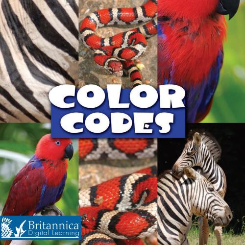 Cover of the book Color Codes by Lynn Stone, Britannica Digital Learning
