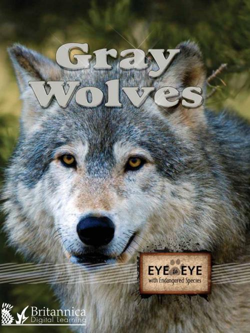 Cover of the book Gray Wolves by Don McLeese, Britannica Digital Learning
