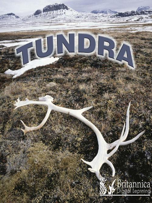 Cover of the book Tundra by Lynn M. Stone, Britannica Digital Learning