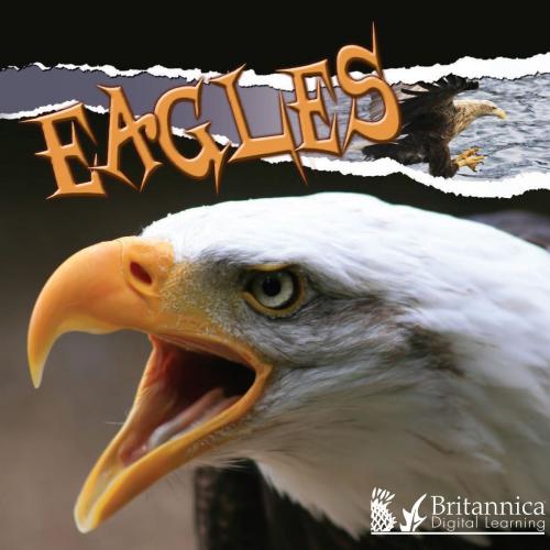 Cover of the book Eagles by Julie Lundgren, Britannica Digital Learning