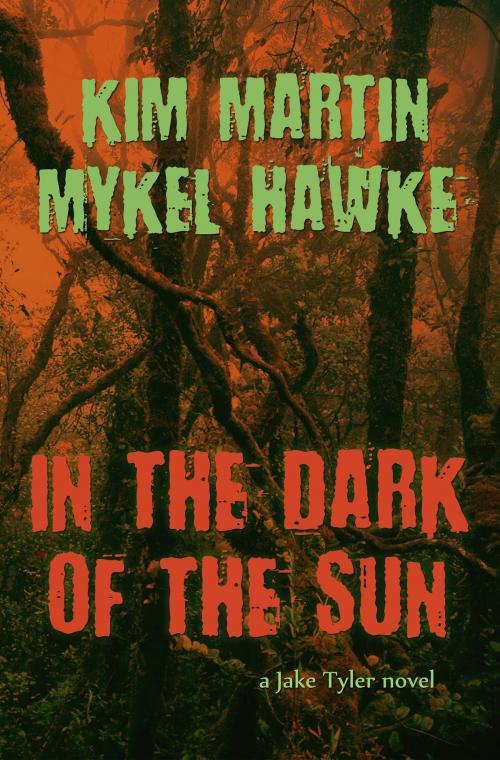 Cover of the book In the Dark of the Sun by Kim Martin, Kim Martin