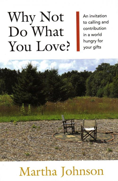 Cover of the book Why Not Do What You Love? An Invitation to Calling and Contribution in a World Hungry for Your Gifts by Martha Johnson, Martha Johnson