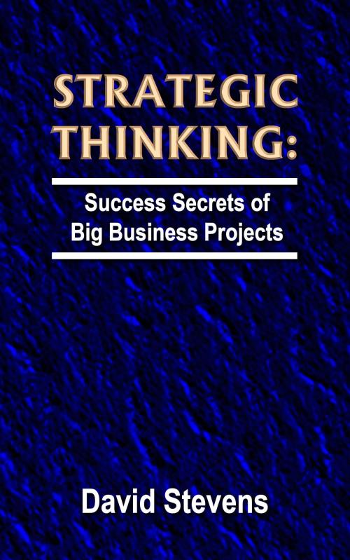 Cover of the book Strategic Thinking: success secrets of big business projects by David Stevens, MoshPit Publishing