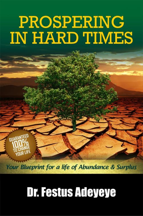 Cover of the book Prospering in Hard Times by Festus Adeyeye, GodKulture