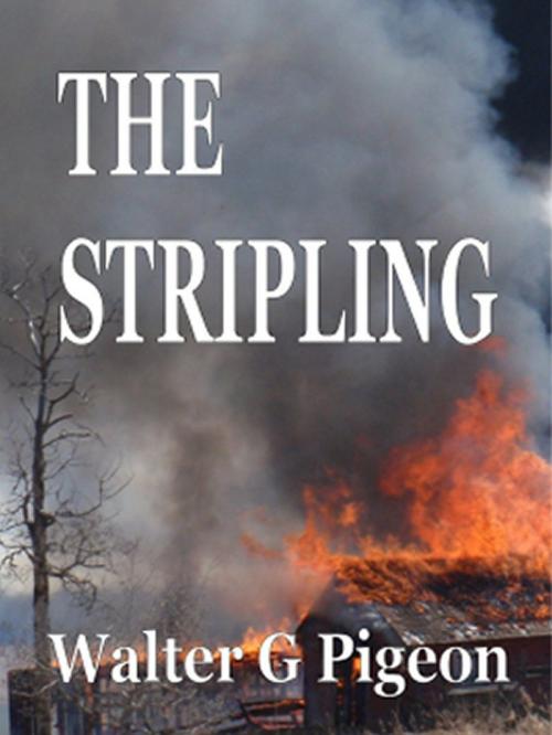 Cover of the book The Stripling by Walter Pigeon, Walter Pigeon