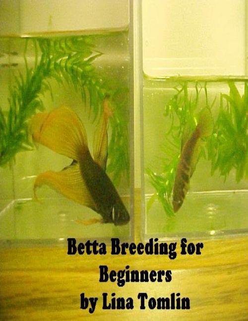 Cover of the book Betta Breeding for Beginners by Lina Tomlin, Lulu.com