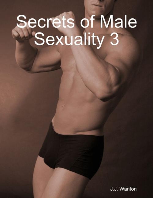 Cover of the book Secrets of Male Sexuality 3 by J.J. Wanton, Lulu.com