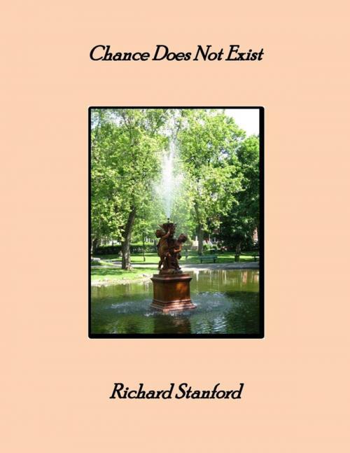 Cover of the book Chance Does Not Exist by Richard Stanford, Lulu.com