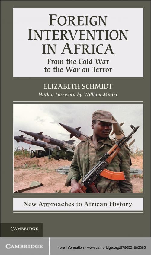 Cover of the book Foreign Intervention in Africa by Elizabeth Schmidt, Cambridge University Press