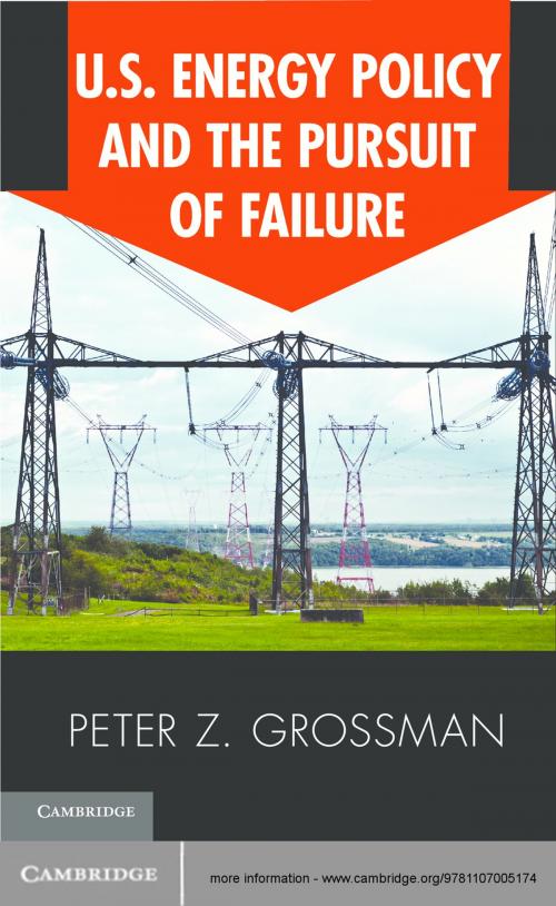Cover of the book US Energy Policy and the Pursuit of Failure by Peter Z. Grossman, Cambridge University Press