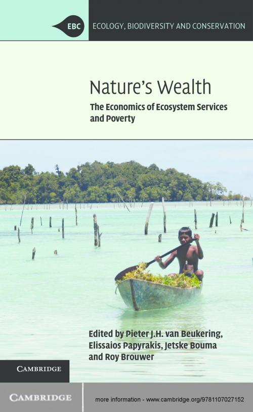 Cover of the book Nature's Wealth by , Cambridge University Press