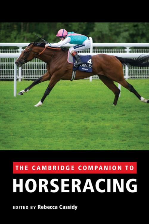 Cover of the book The Cambridge Companion to Horseracing by , Cambridge University Press