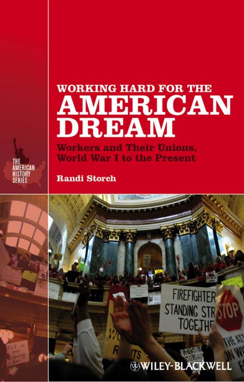 Cover of the book Working Hard for the American Dream by Randi Storch, Wiley