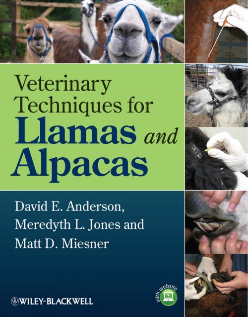 Cover of the book Veterinary Techniques for Llamas and Alpacas by David E. Anderson, Meredyth L. Jones, Matt D. Miesner, Wiley