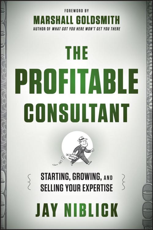 Cover of the book The Profitable Consultant by Jay Niblick, Wiley