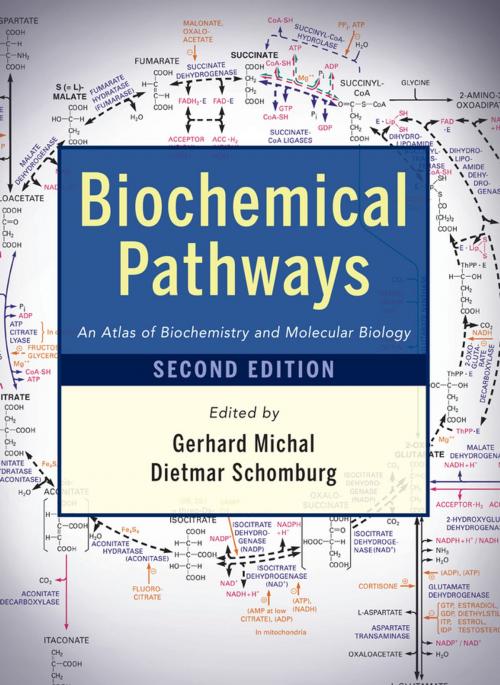 Cover of the book Biochemical Pathways by , Wiley