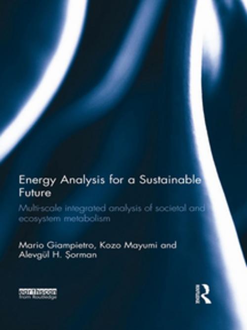 Cover of the book Energy Analysis for a Sustainable Future by Mario Giampietro, Kozo Mayumi, Alevgül H. Şorman, Taylor and Francis