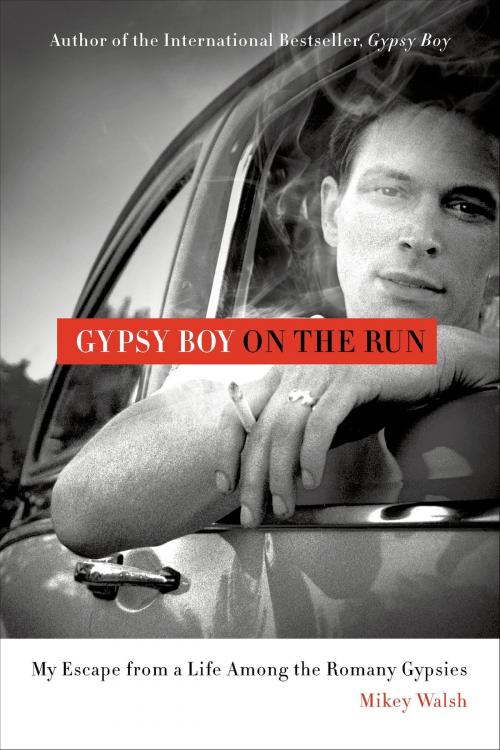 Cover of the book Gypsy Boy on the Run by Mikey Walsh, St. Martin's Press