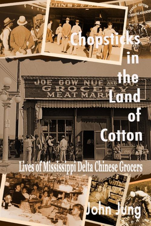 Cover of the book Chopsticks in the Land of Cotton: Lives of Mississippi Delta Chinese Grocers by John Jung, Lulu.com