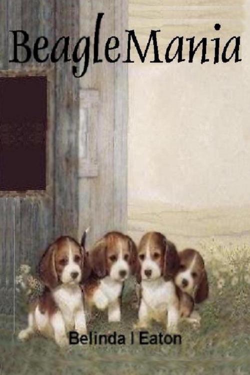 Cover of the book BeagleMania by Belinda I Eaton, Lulu.com