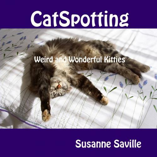 Cover of the book Catspotting: Weird and Wonderful Kitties by Susanne Saville, Lulu.com
