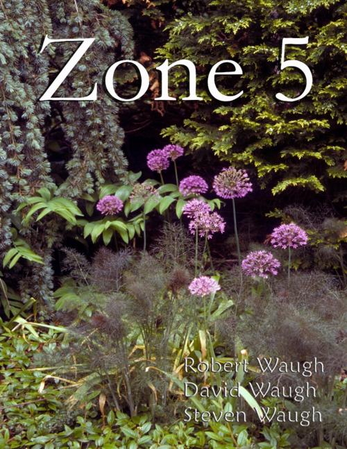 Cover of the book Zone 5 by Robert Waugh, David Waugh, Steven Waugh, Lulu.com