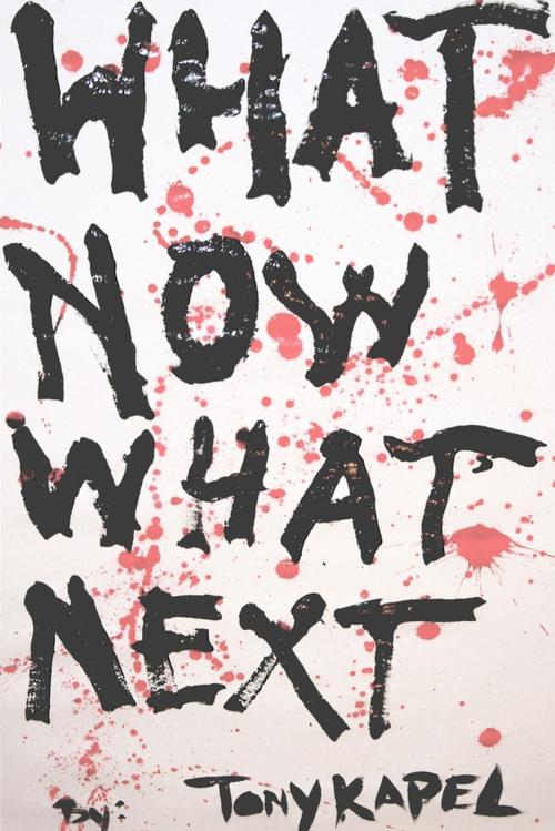 Cover of the book What Now What Next by Tony Kapel, Lulu.com