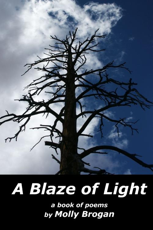 Cover of the book A Blaze of Light: A Book of Poems by Molly Brogan, Lulu.com