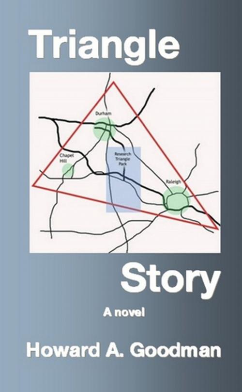 Cover of the book Triangle Story by Howard A. Goodman, Lulu.com