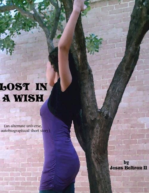 Cover of the book Lost In a Wish by Jesus Beltran II, Lulu.com
