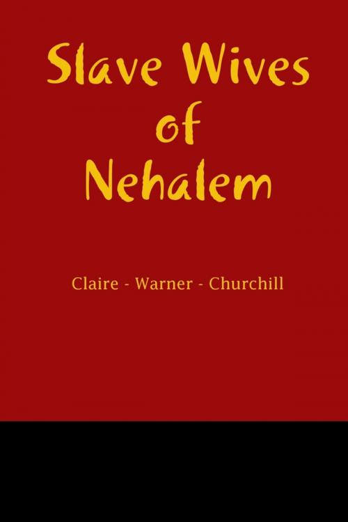Cover of the book Slave Wives of Nehalem by Garry Gitzen, Lulu.com