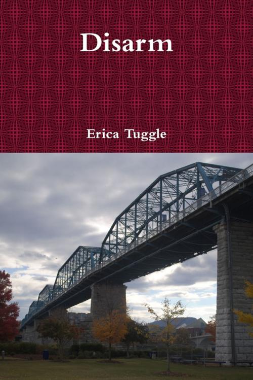 Cover of the book Disarm by Erica Tuggle, Lulu.com