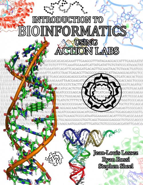 Cover of the book Introduction to Bioinformatics Using Action Labs by Jean-Louis Lassez, Ryan Rossi, Stephen Sheel, Lulu.com