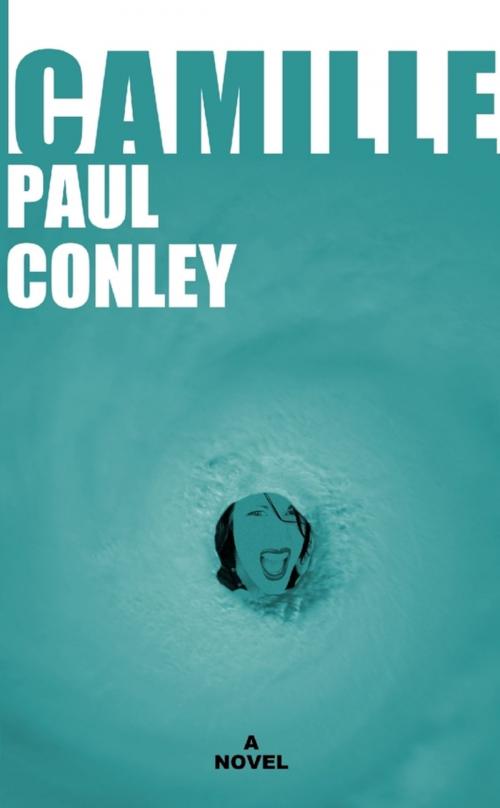 Cover of the book Camille by Paul Conley, Lulu.com