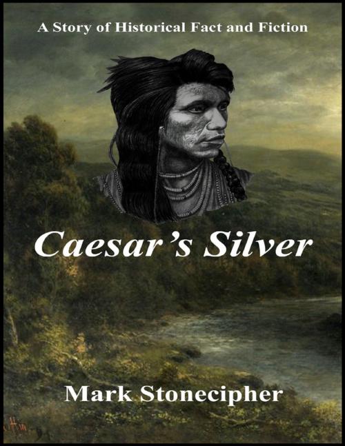 Cover of the book Caesar's Silver by Mark Stonecipher, Lulu.com