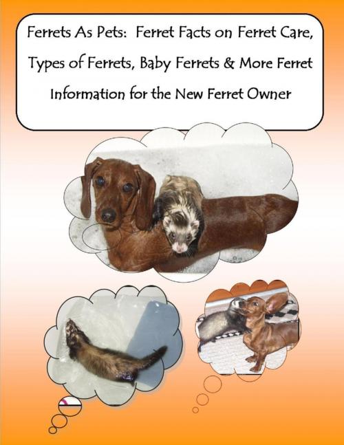 Cover of the book Ferrets As Pets: Ferret Facts on Ferret Care, Types of Ferrets, Baby Ferrets & More Ferret Information for the New Ferret Owner by Barbara Greenwood, Malibu Publishing, Lulu.com