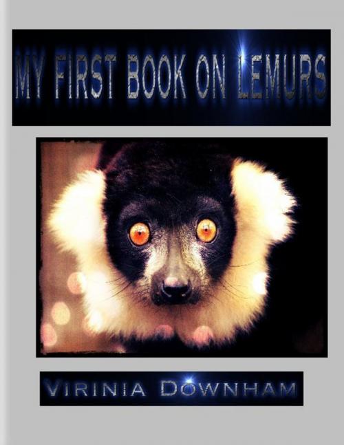 Cover of the book My First Book on Lemurs by Virinia Downham, Lulu.com