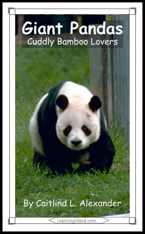 Cover of the book Giant Pandas: Cuddly Bamboo Lovers by Caitlind L. Alexander, LearningIsland.com