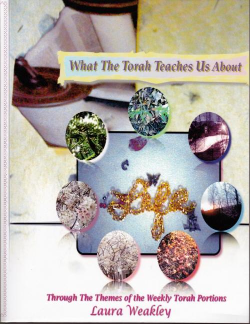 Cover of the book What The Torah Teaches Us About Life /Through The Themes Of The Weekly Torah Portions by Laura Weakley, Laura Weakley