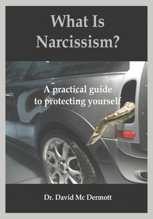 Cover of the book What Is Narcissism? A Practical Guide To Protecting Yourself by Dr. David Mc Dermott, Dr. David Mc Dermott
