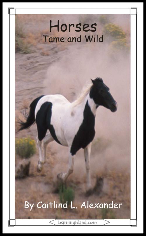 Cover of the book Horses: Tame and Wild by Caitlind L. Alexander, LearningIsland.com